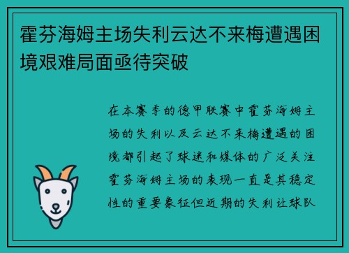 霍芬海姆主场失利云达不来梅遭遇困境艰难局面亟待突破